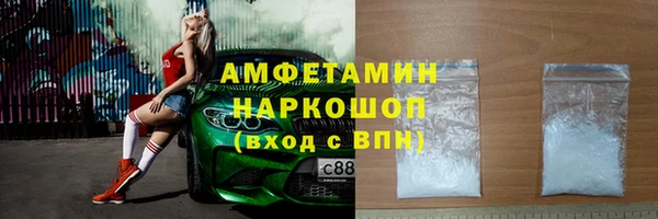 стаф Аркадак