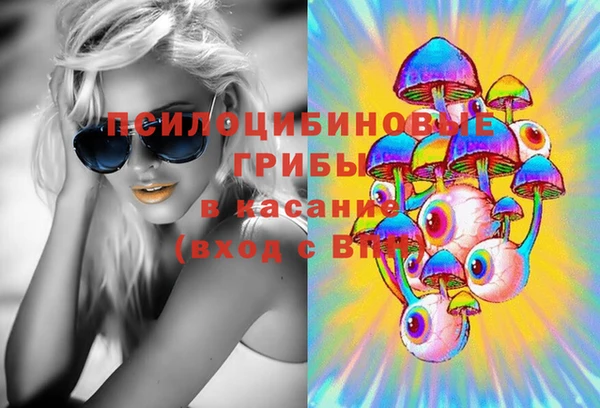 спайс Арсеньев