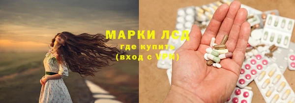 спайс Арсеньев