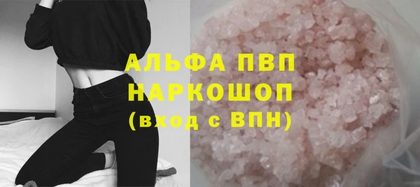 стаф Аркадак