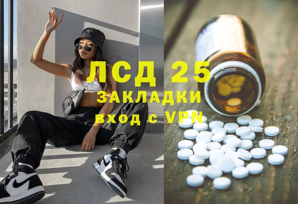 стаф Аркадак