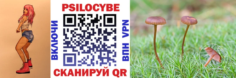 Псилоцибиновые грибы Psilocybine cubensis  Талица 
